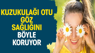 Kuzukulağı otu göz sağlığını böyle koruyor
