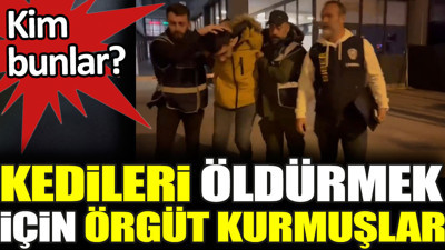 Kedileri öldürmek için örgüt kurmuşlar. Kim bunlar?