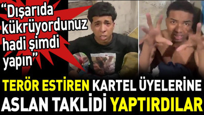 Terör estiren kartel üyelerine aslan taklidi yaptırdılar. ‘Dışarıda kükrüyordunuz hadi şimdi yapın’