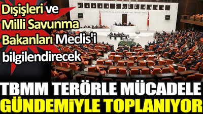 TBMM terörle mücadele gündemiyle toplanıyor. Dışişleri ve Milli Savunma Bakanları Meclis'i bilgilendirecek