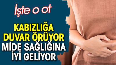 Kabızlığa duvar örüyor. Mide sağlığına iyi geliyor. İşte o ot