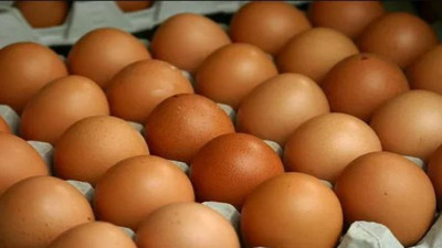 Yumurtada fiyat istikrarı için planlı üretim talebi