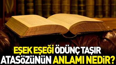 Eşek eşeği ödünç taşır atasözünün anlamı nedir?