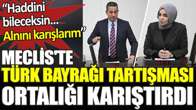 Meclis'te Türk bayrağı tartışması ortalığı karıştırdı. ‘Haddini bileceksin. Alnını karışlarım’