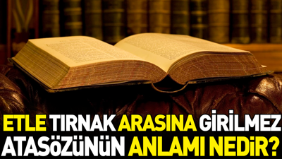 Etle tırnak arasına girilmez atasözünün anlamı nedir?