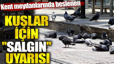 Kuşlar için salgın uyarısı