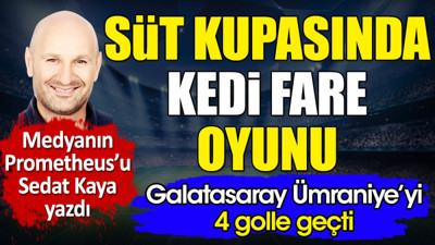 Süt kupasında kedi fare oyunu. Sedat Kaya yazdı