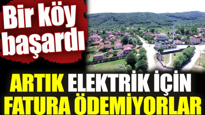 Artık elektrik için fatura ödemiyorlar. Bir köy başardı