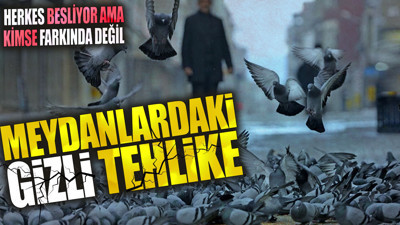 Meydanlardaki gizli tehlike. Herkes besliyor ama kimse farkında değil