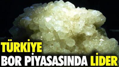 Türkiye bor piyasasında lider