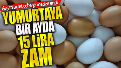 Yumurtaya bir ayda 15 lira zam! Asgari ücret cebe girmeden eridi
