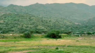 Mekke'de 8-9 Aydır devam eden yoğun yağışlar, kuru toprakları yemyeşil bir alan dönüştürdü