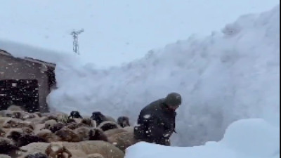 Hakkari de kara teslim...