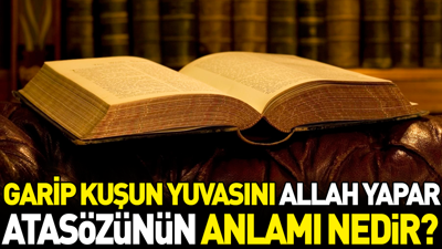 Garip kuşun yuvasını Allah yapar atasözünün anlamı nedir?