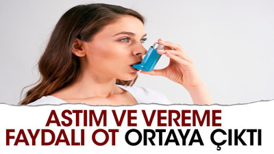 Astım ve vereme faydalı ot ortaya çıktı
