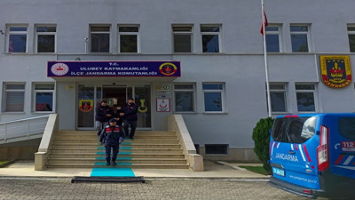 Ordu'da bir eve girerek 1 ton fındık çalan hırsıza tutuklama