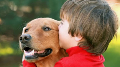 Hayvanların duyguları var mı?