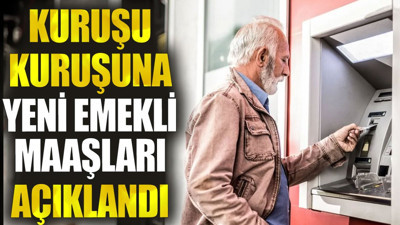 Kuruşu kuruşuna yeni emekli maaşları açıklandı