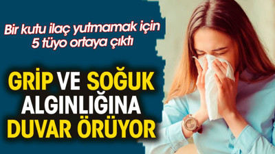 Grip ve soğuk algınlığına duvar örüyor. Bir kutu ilaç yutmamak için 5 tüyo ortaya çıktı