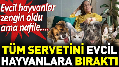 Tüm servetini evcil hayvanlara bıraktı. Evcil hayvanlar zengin oldu ama nafile....