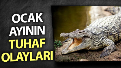 Ocak ayının tuhaf olayları