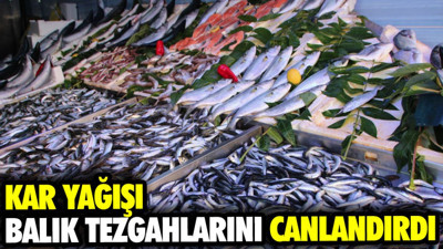 Kar yağışı balık tezgahlarını canlandırdı