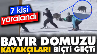 Bayır domuzu kayakçıları biçti geçti. 7 kişi yaralandı