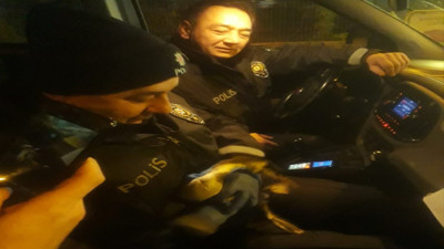 Yaralı karabatağa polis şefkati
