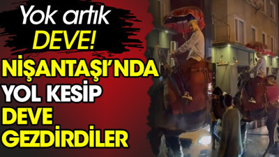 Nişantaşı'nda yol kesip deve gezdirdiler. Yok artık deve