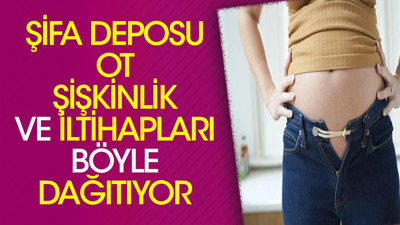 Şifa deposu ot şişkinlik ve iltihapları böyle dağıtıyor