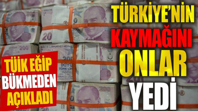 Türkiye'nin kaymağını onlar yedi. TÜİK eğmedi bükmeden açıkladı