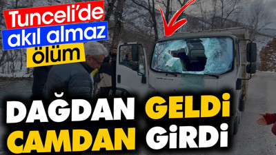 Dağdan geldi camdan girdi. Tunceli'de akıl almaz ölüm