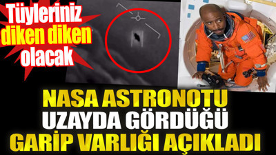 NASA astronotu uzayda gördüğü garip varlığı açıkladı. Tüyleriniz diken diken olacak