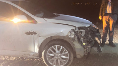 Domuz sürüsüne çarptı, maddi hasar oluştu