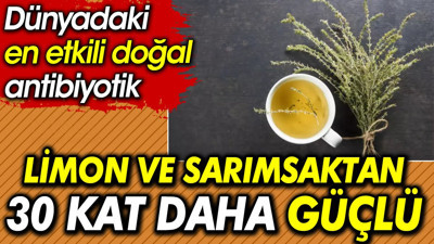 Limon ve sarımsaktan 30 kat daha güçlü. Dünyadaki en etkili doğal antibiyotik