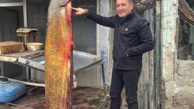 Mersinli balıkçıya altın piyango vurdu! Ağı 6 kişi güçlükle çekebildi hemen satışa çıkardı