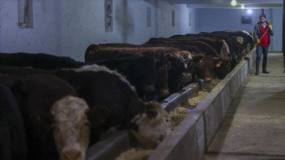 Malatya’da besici depremzedeler destek istiyor