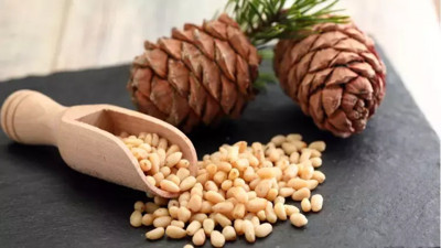 Zihni gücü arttırarak unutkanlık hastalıklarına meydan okuyor. İşte o ot