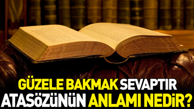 Güzele bakmak sevaptır atasözünün anlamı nedir?