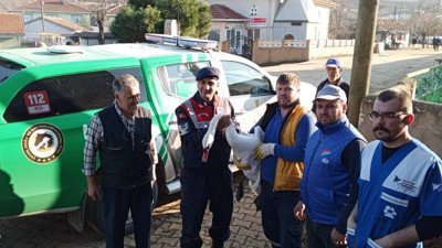 Kuğu bahçede bitkin halde bulundu. Tedavi altına alındı