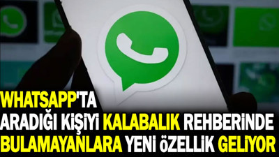 WhatsApp'ta aradığı kişiyi kalabalık rehberinde bulamayanlara yeni özellik geliyor