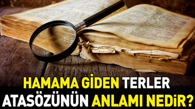 Hamama giden terler atasözünün anlamı nedir?