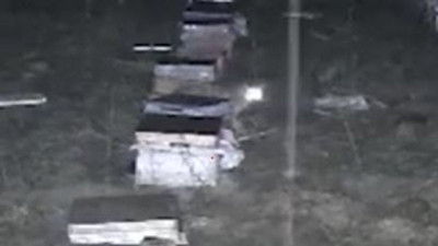 Bahçeye dadandılar balları ve arıları yediler