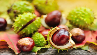 Damar tıkanıklığını önlüyor