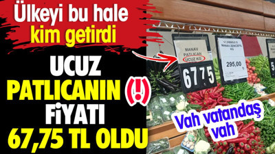 Ucuz patlıcanın (!) kilosu 67,75 TL oldu. Ülkeyi bu hale kim getirdi