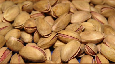 Antep Fıstığının kabukları bile yararlı