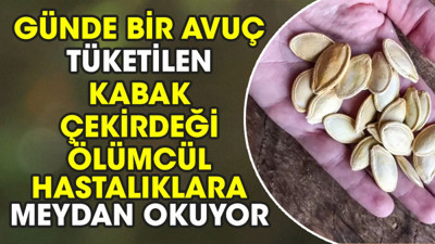 Günde bir avuç tüketilen kabak çekirdeği ölümcül hastalıklara meydan okuyor