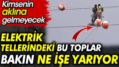Elektrik tellerindeki bu toplar bakın ne işe yarıyor. Kimsenin aklına gelmeyecek