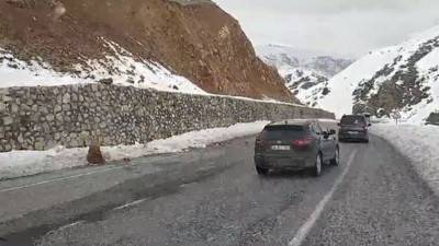 Bitlis'te yola düşen kayalar tehlike yarattı