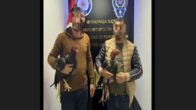 Horoz dövüştürüp kumar oynatan 5 kişi gözaltında